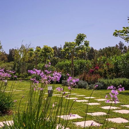 Mear Holiday Homes - Cretan Summer Getaways Kountoura Selino エクステリア 写真
