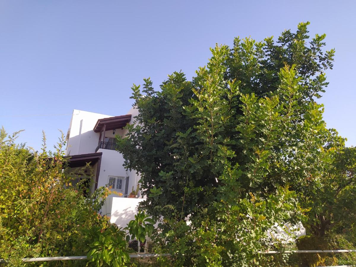 Mear Holiday Homes - Cretan Summer Getaways Kountoura Selino エクステリア 写真