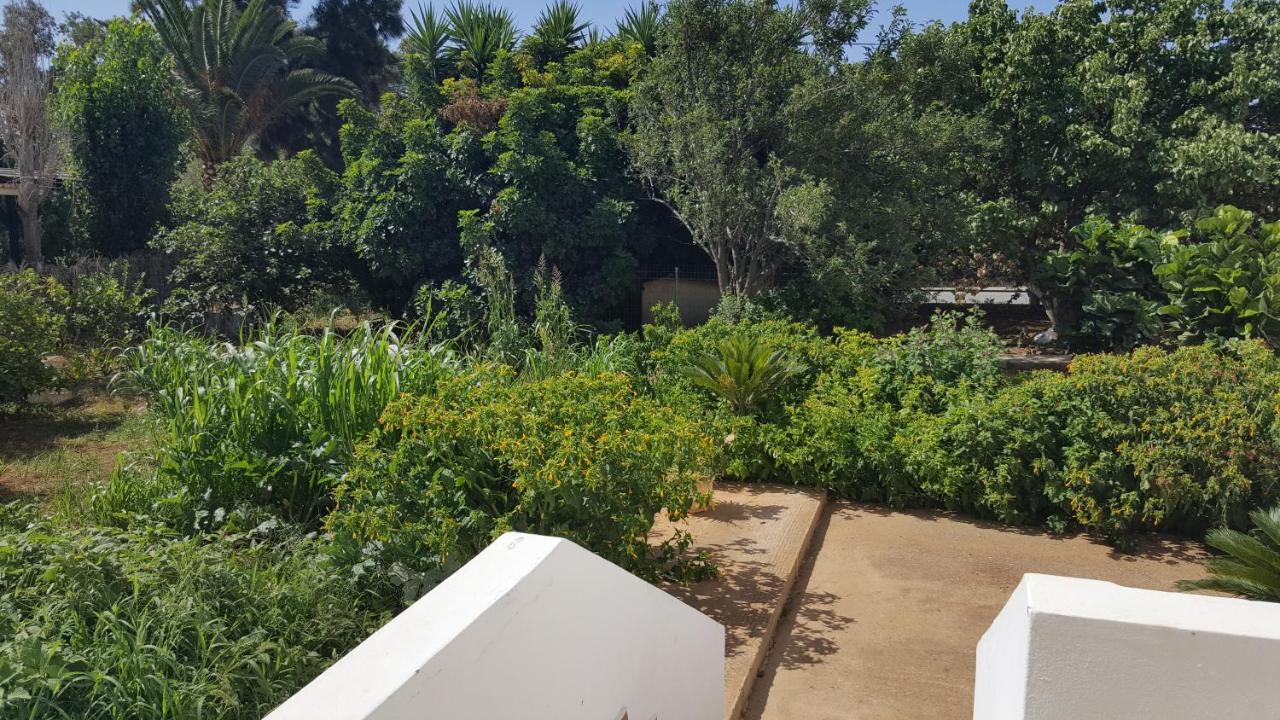 Mear Holiday Homes - Cretan Summer Getaways Kountoura Selino エクステリア 写真