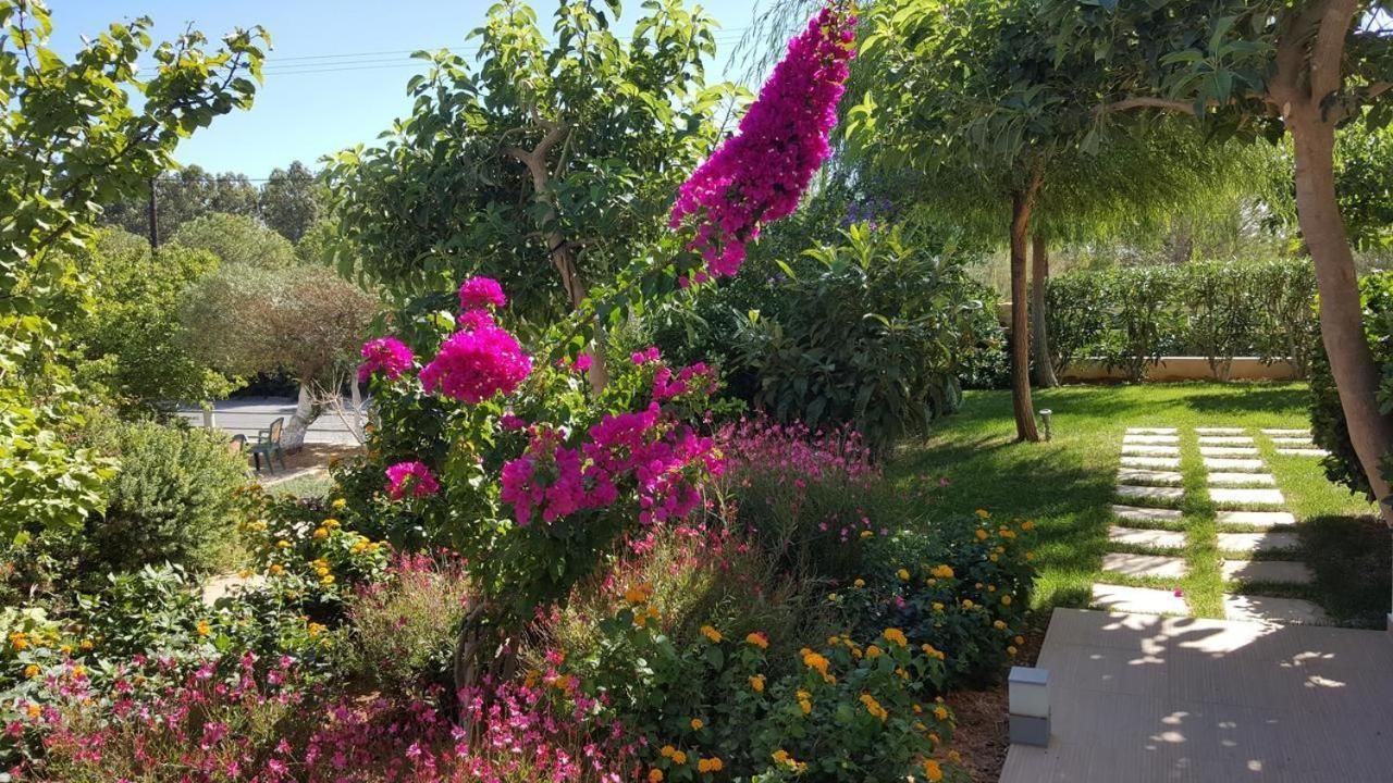 Mear Holiday Homes - Cretan Summer Getaways Kountoura Selino エクステリア 写真