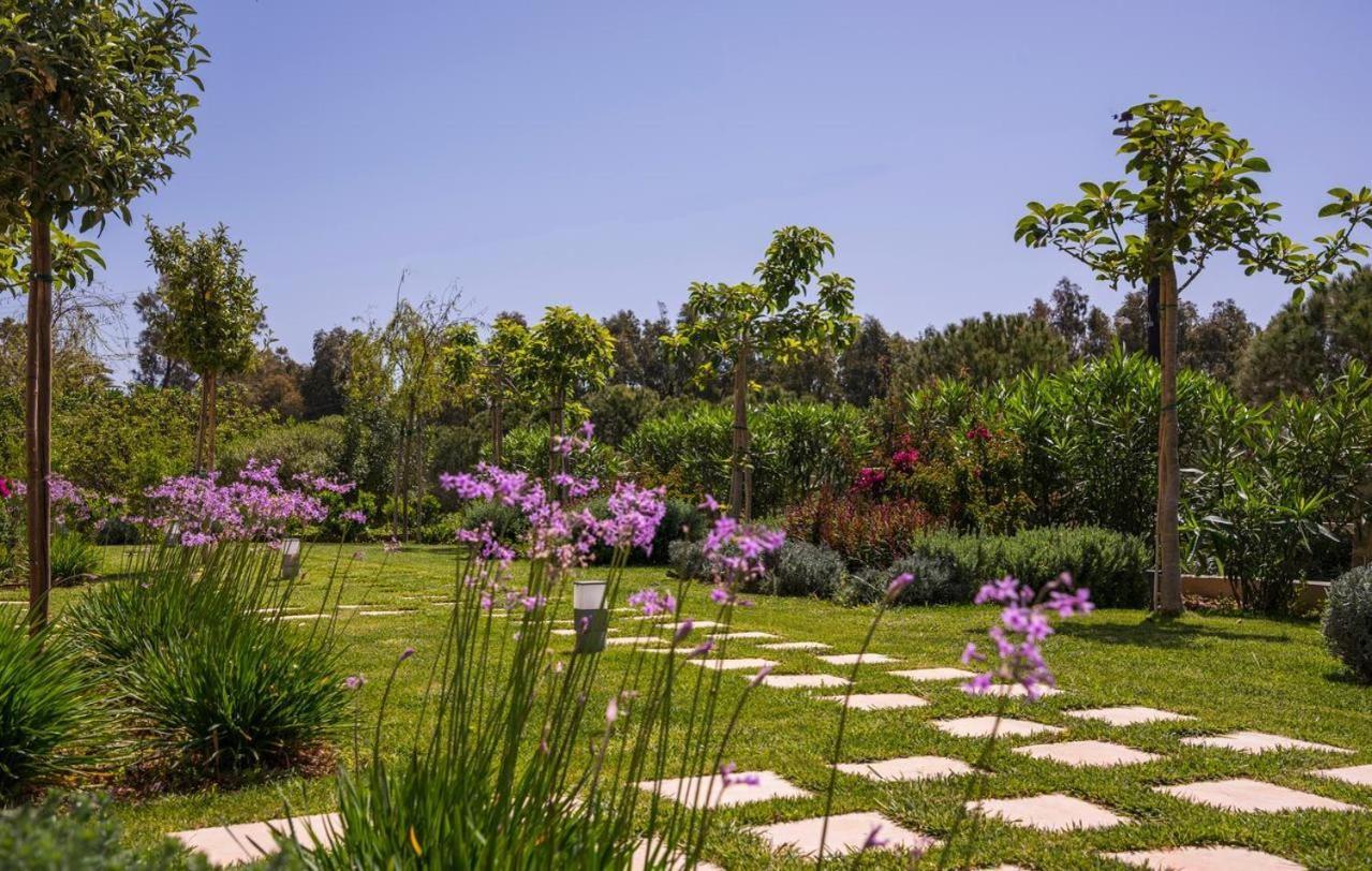 Mear Holiday Homes - Cretan Summer Getaways Kountoura Selino エクステリア 写真